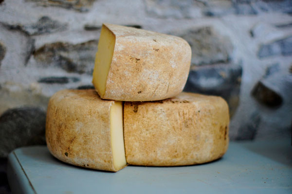 bacchus-and-clio-tasting-the-past-cheese Bacchus and Clio – Innovators – Tomme